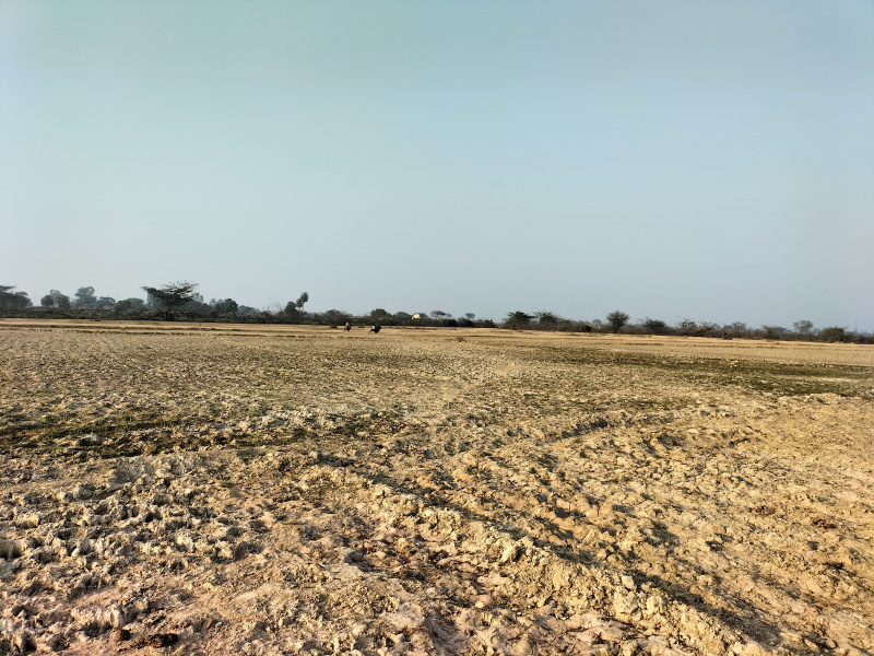 Additional image 2 of Harinagar Ashram, Ashram, Delhi