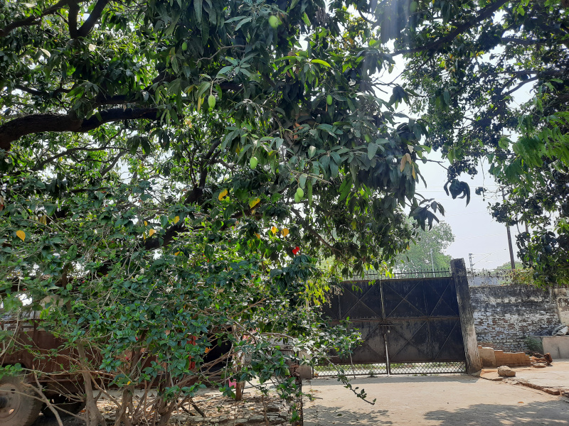 Additional image 3 of Bithoor, Kanpur