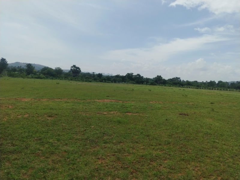 Additional image 2 of lemoor, Tukkuguda, Hyderabad