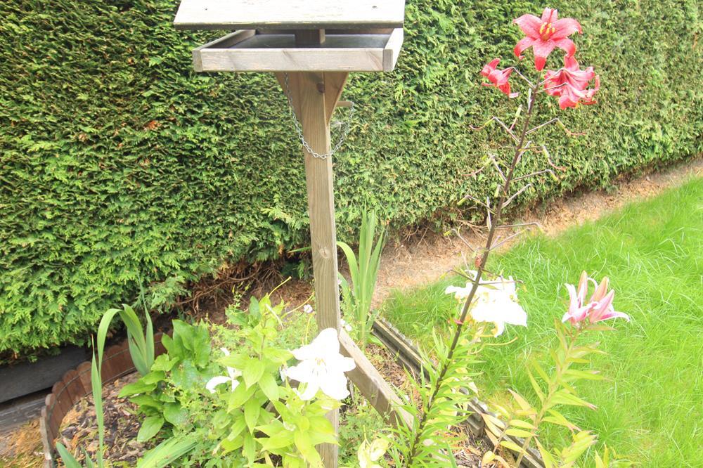 Additional image 12 of Countesswells Terrace, Aberdeen, AB15