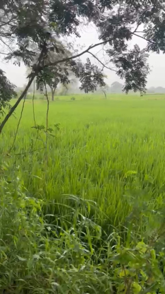 Additional image 2 of Telibandha, Raipur