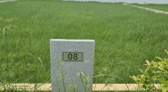 Additional image 3 of kattankolathur, Chennai