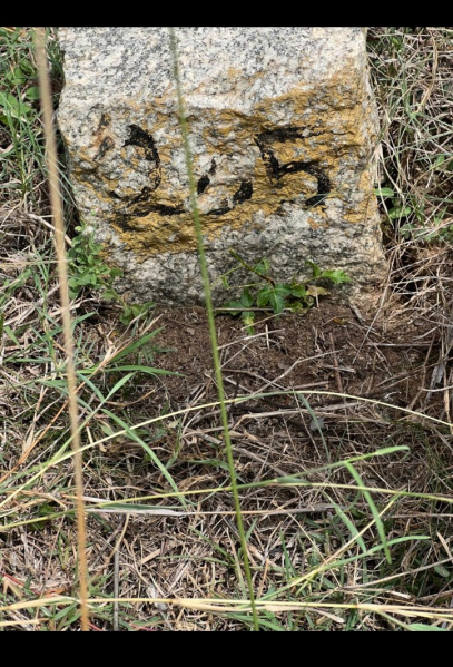 Additional image 3 of Vandalur, Chennai