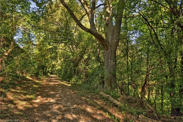 Additional image 41 of 8 Brandy Cres