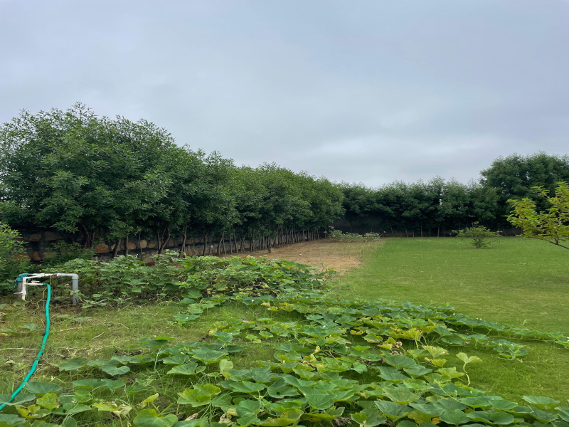 Additional image 3 of Sohna Road, Faridabad