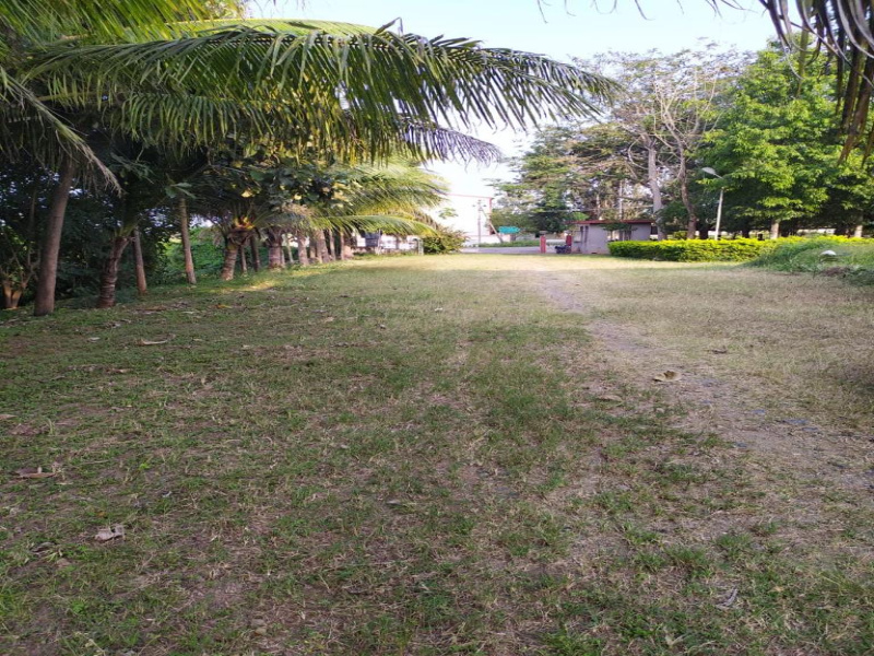 Additional image 3 of Nanjangud, Mysore