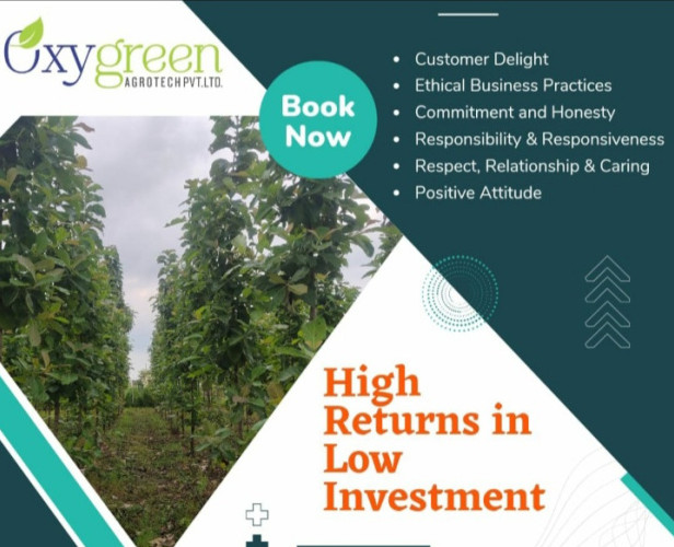 Additional image 2 of Butibori, Nagpur