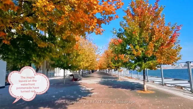 Additional image 32 of 1 Edgewater Dr Unit 314