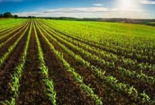 Property image for NH 58, Meerut
