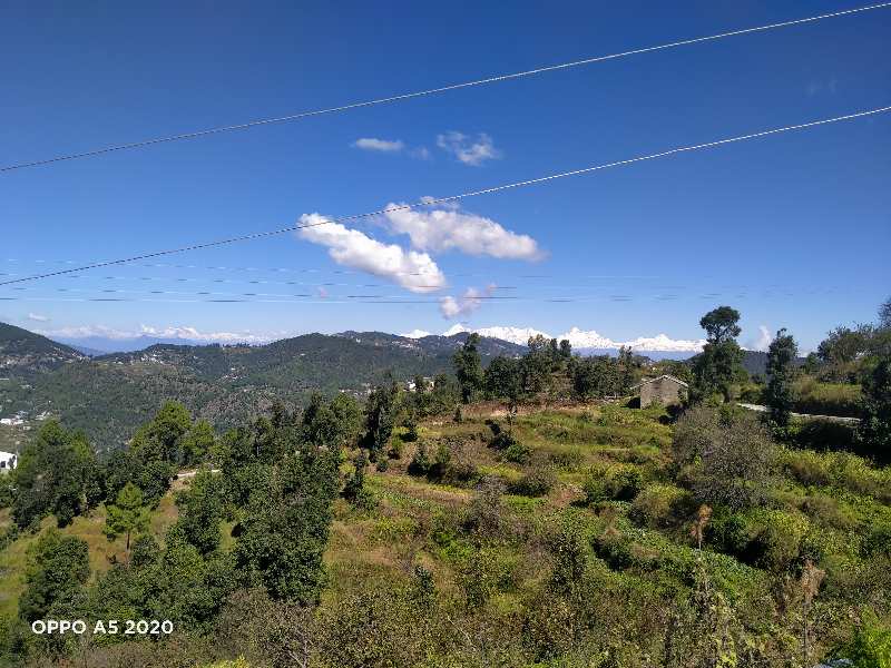 Property image for Dhanachuli, Nainital