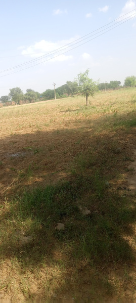 Property image for Bansur, Alwar