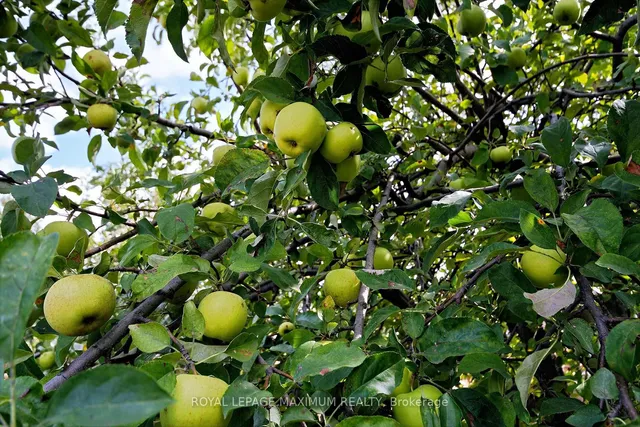 Additional image 42 of 10 Gatesgill Cres