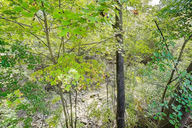 Additional image 47 of 19 Stubbs Dr