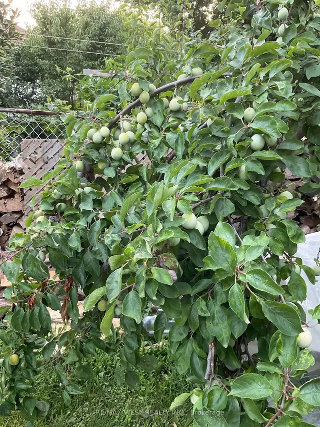 Additional image 35 of 62 Allenby Ave