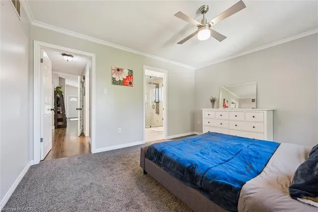 Additional image 22 of 264 Grey Fox Dr