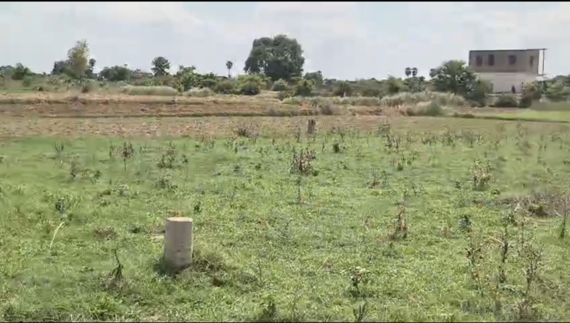 Property image for Kanhauli, Bihta, Patna