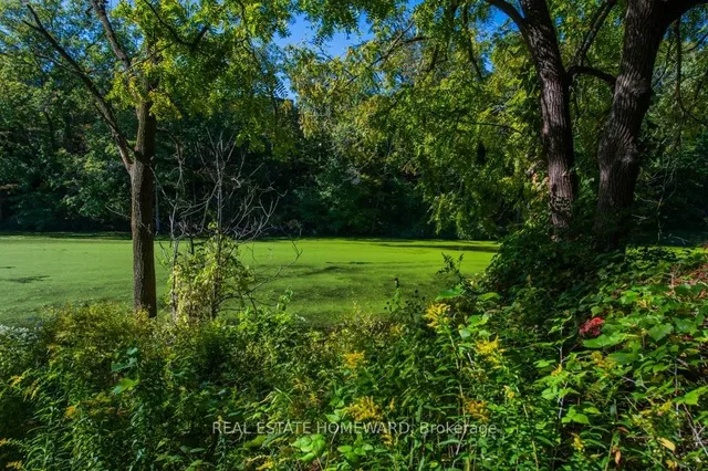 Additional image 47 of 180 Ellis Ave