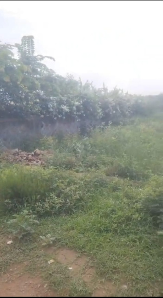 Additional image 2 of Naugaon, Alwar