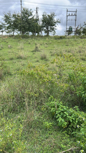 Property image for Ilavala Hobli, Mysore