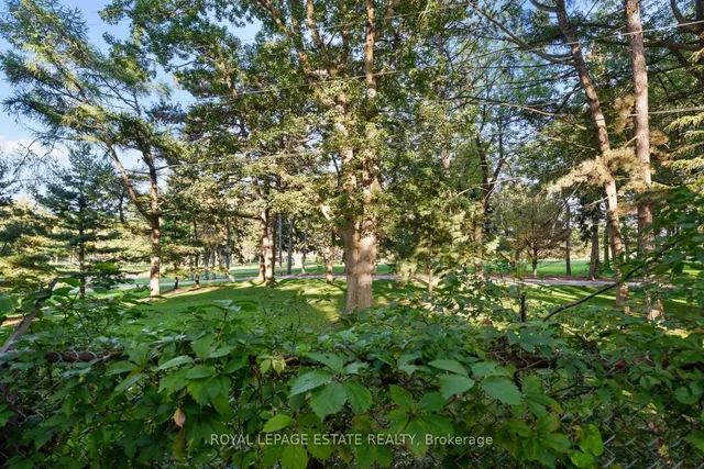 Additional image 40 of 59 Anndale Rd