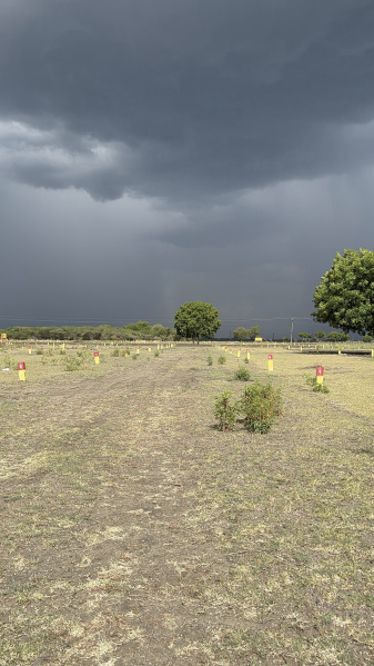 Property image for Thirumangalam, Madurai