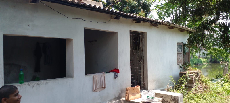 Additional image 3 of Kabardanga, Kolkata