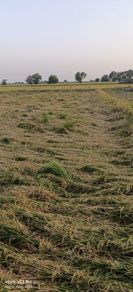 Additional image 3 of Gohana, Sonipat