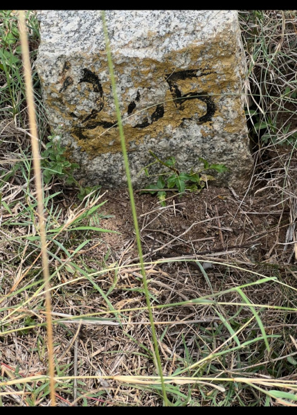 Additional image 2 of Vandalur, Chennai