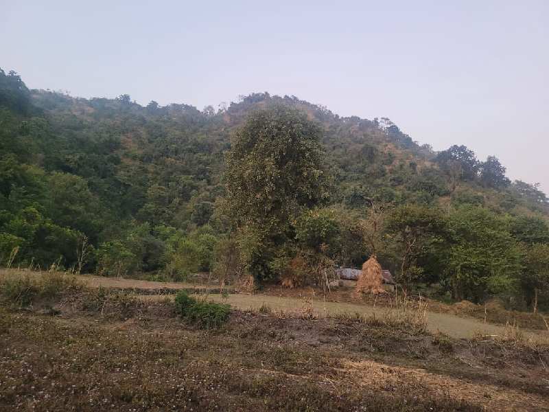 Property image for Jeoly Kot, Nainital