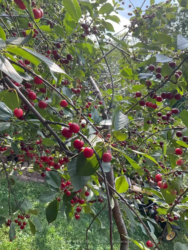 Additional image 33 of 62 Allenby Ave