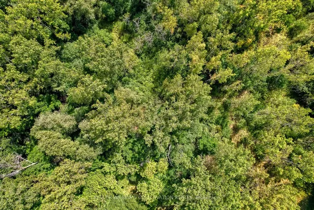 Additional image 28 of 286 Tagge Cres