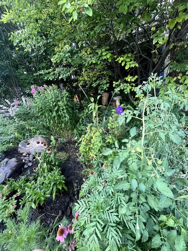 Additional image 45 of 1273 Lansdowne Ave