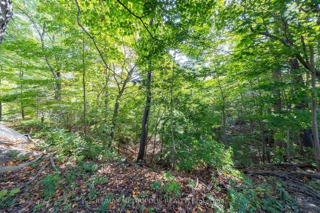 Additional image 9 of 5297 Lawrence Ave