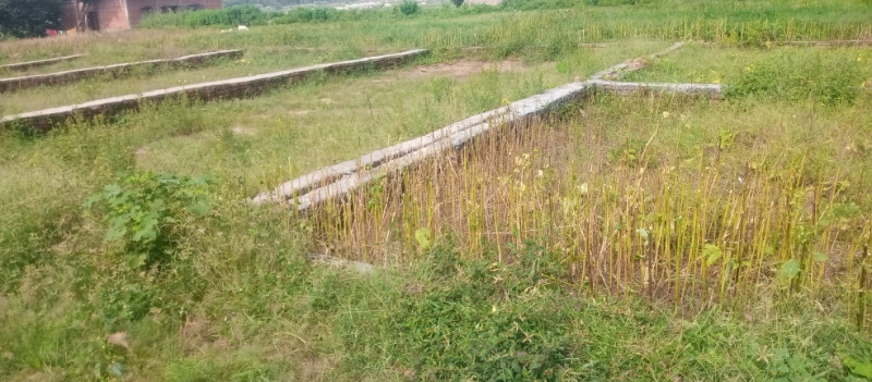 Additional image 3 of Karjaha, Gorakhpur