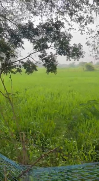 Additional image 3 of Telibandha, Raipur