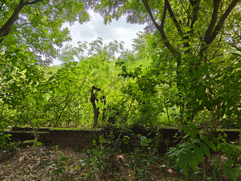 Additional image 3 of Manjhawali Village, Faridabad