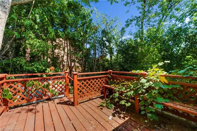 Additional image 39 of 50 Apache Trail