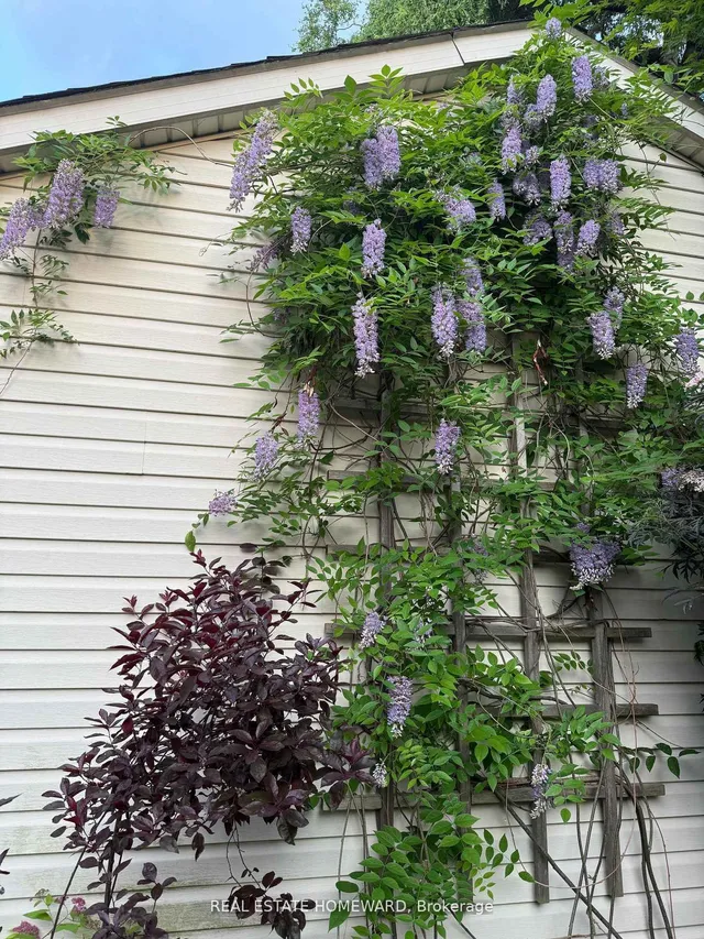 Additional image 45 of 76 Whistle Post St