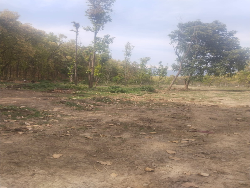 Property image for Manduwala, Dehradun