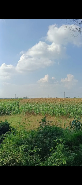 Property image for Ghatampur, Kanpur