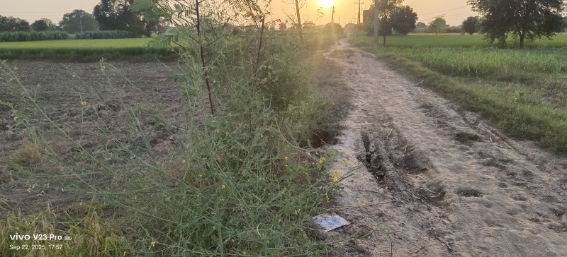 Property image for Gohana, Sonipat