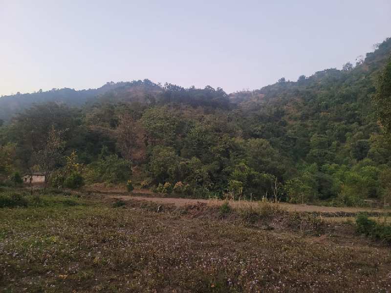 Additional image 3 of Jeoly Kot, Nainital