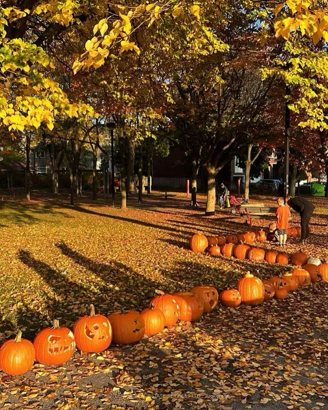 Additional image 48 of 61 Skylark Rd