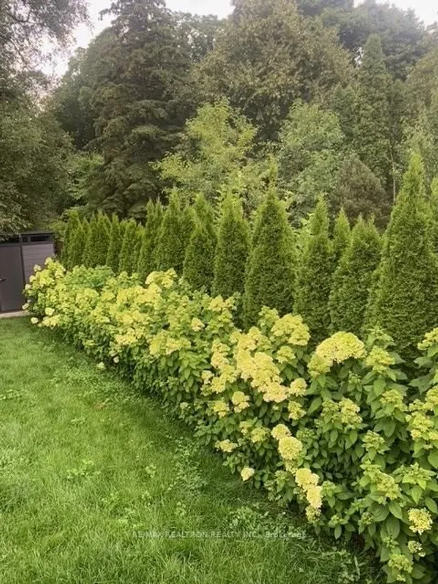 Additional image 45 of 9 Karen Rd