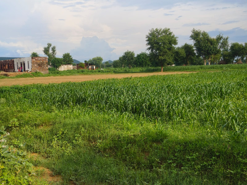 Property image for Naugaon, Alwar