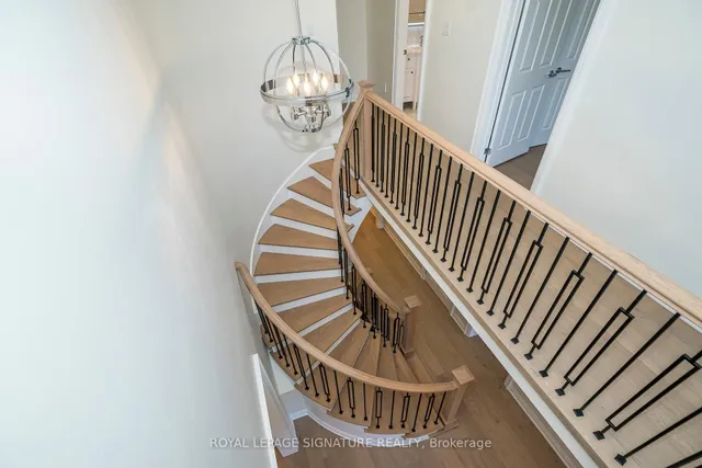 Additional image 21 of 11 Royal Rouge Tr