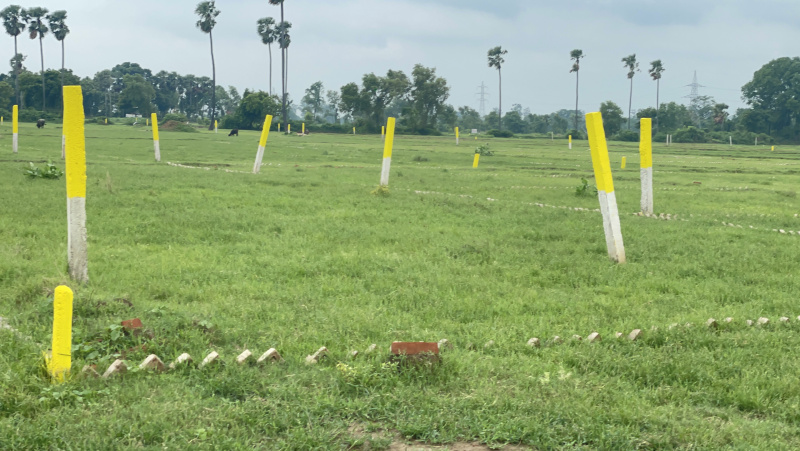 Additional image 3 of Bihta, Patna