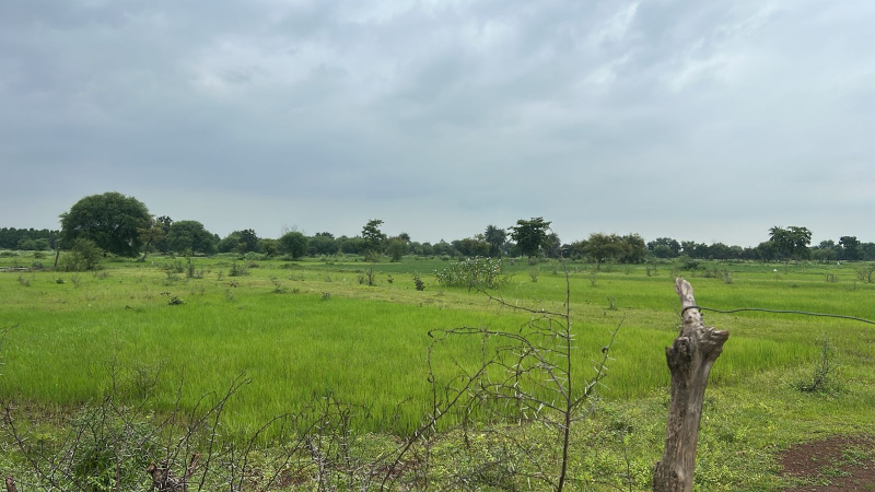 Additional image 3 of Simga, Baloda Bazar, Raipur