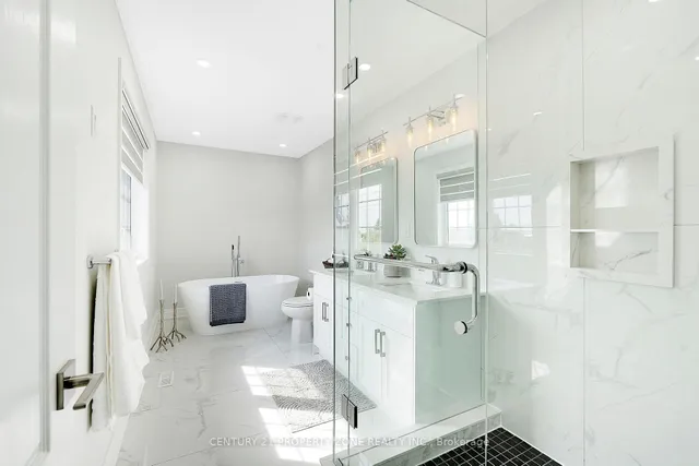 Additional image 22 of 42 Spotted Owl Cres