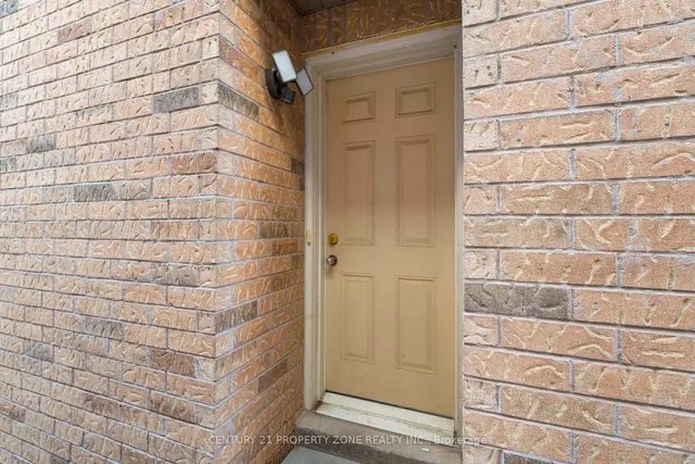 Additional image 35 of 42 Spotted Owl Cres